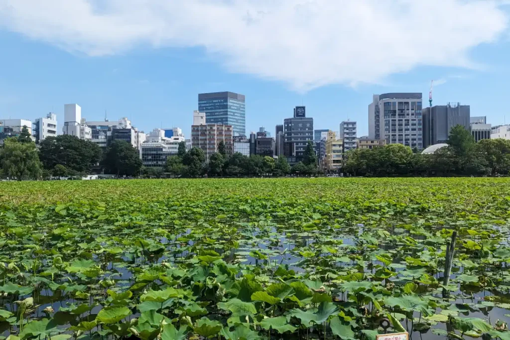 Ueno Park